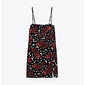Zara dress